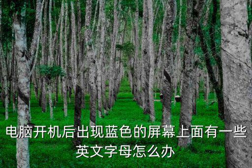 電腦開機(jī)后出現(xiàn)藍(lán)色的屏幕上面有一些英文字母怎么辦