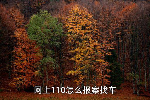 110線上報(bào)案，網(wǎng)上110怎么報(bào)案找車