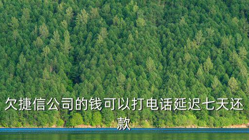95188協(xié)商延期還款，網(wǎng)貸可以協(xié)商嗎延期還款嗎