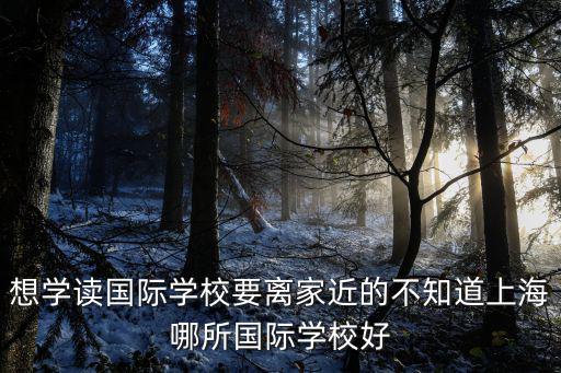 上海重點國際高中，打算讓孩子出國上海哪家國際學校比較好大家推薦下