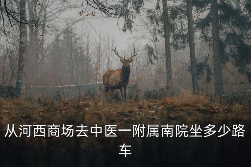 從河西商場去中醫一附屬南院坐多少路車