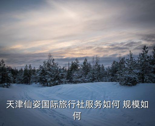 天津市仙姿國際旅游社，天津仙姿國際旅行社服務(wù)如何 規(guī)模如何