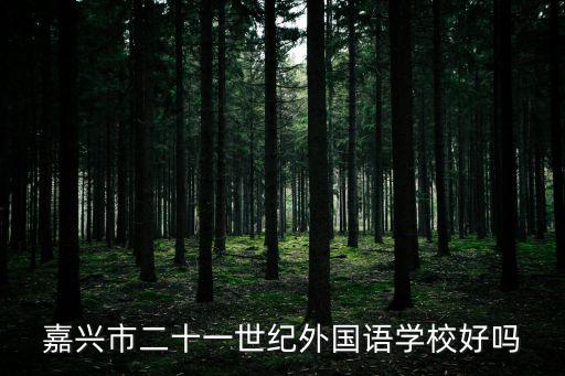 嘉興市二十一世紀外國語學校好嗎