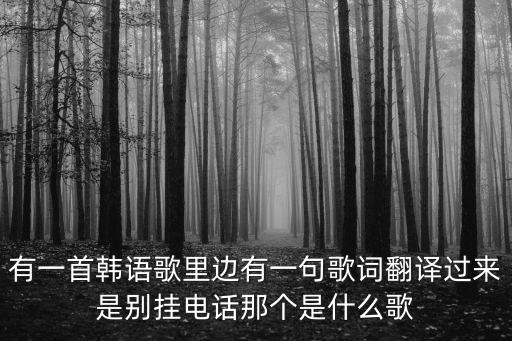 別掛電話，有一首韓語歌里邊有一句歌詞翻譯過來是別掛電話那個是什么歌