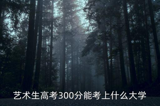 天津市藝考生可烤的院校，藝術生高考300分能考上什么大學