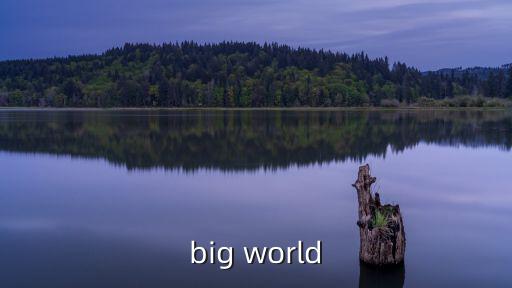 big world