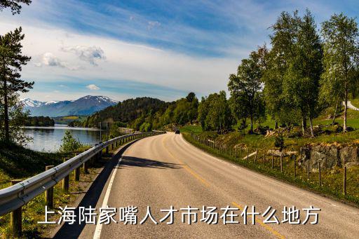上海陸家嘴人才市場在什么地方