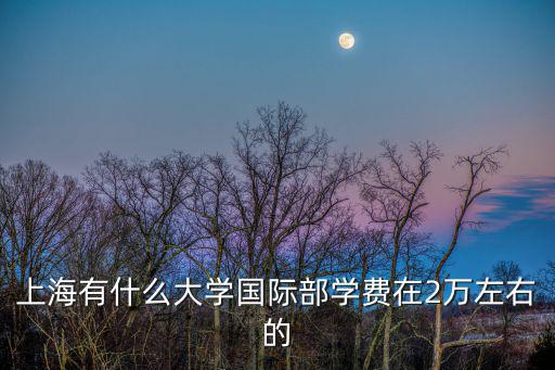 上海有什么大學國際部學費在2萬左右的
