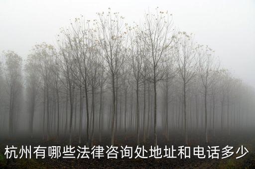 杭州有哪些法律咨詢處地址和電話多少