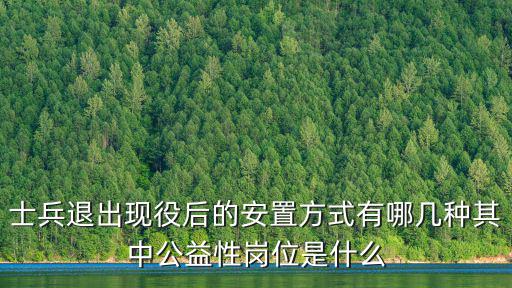 士兵退出現(xiàn)役后的安置方式有哪幾種其中公益性崗位是什么