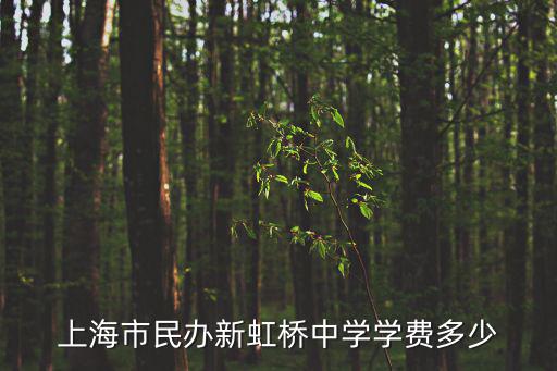 上海市民辦新虹橋中學學費多少