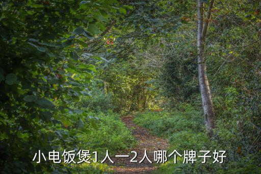 小電飯煲1人一2人哪個(gè)牌子好