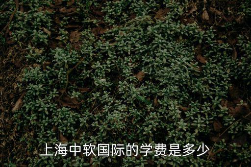 上海中軟國際的學費是多少