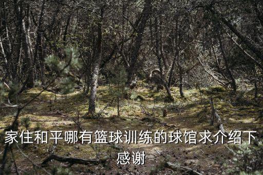 家住和平哪有籃球訓練的球館求介紹下感謝