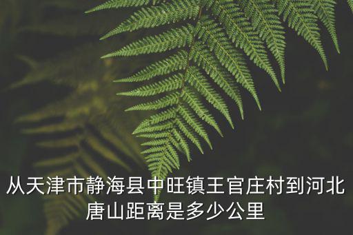 天津市靜海區中旺鎮村莊由來，武清到靜海中旺鎮
