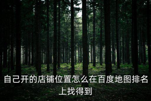 自己開的店鋪位置怎么在百度地圖排名上找得到