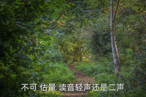 不可 估量 讀音輕聲還是二聲