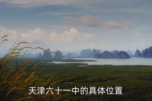 天津市錦秀里，天津六十一中的具體位置