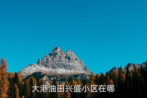 大港油田興盛小區(qū)在哪