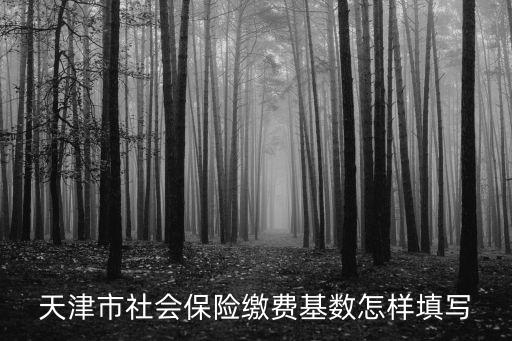 天津市社會保險繳費基數怎樣填寫