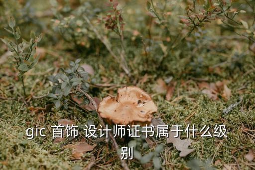 gic 首飾 設(shè)計(jì)師證書屬于什么級(jí)別