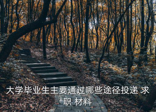 求職材料,大專畢業生投稿求職材料簡歷撰寫:突出過往成績