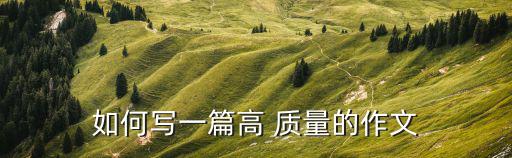 如何寫一篇高 質量的作文