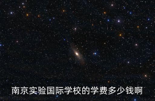 南京實驗國際學校的學費多少錢啊