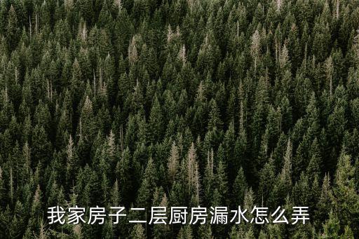 專業漏水維修電話廚房漏水，上海廚房下水管漏水維修下水管漏水怎么辦廚房下水管疏通pvc下水管