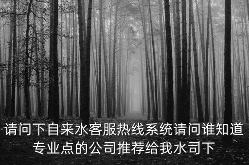 請(qǐng)問下自來水客服熱線系統(tǒng)請(qǐng)問誰知道專業(yè)點(diǎn)的公司推薦給我水司下