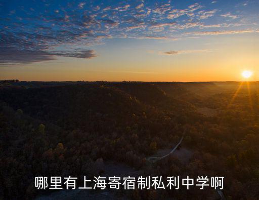 哪里有上海寄宿制私利中學啊