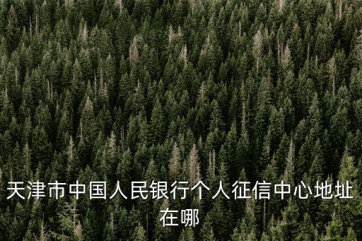 天津市中國(guó)人民銀行個(gè)人征信中心地址在哪