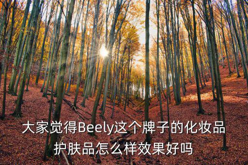 beely,beelybb霜的真相
