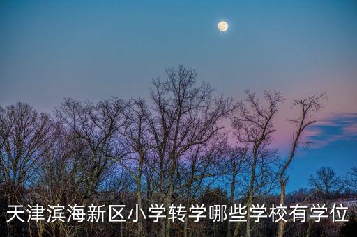 天津濱海新區小學轉學哪些學校有學位