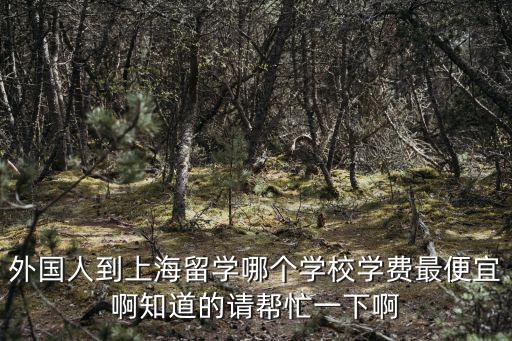 外國人到上海留學哪個學校學費最便宜啊知道的請幫忙一下啊
