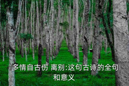 多情傷離別,第九集:冷落秋節比春節更傷感情