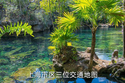 上海市區三位交通地圖