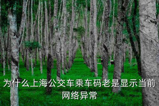 上海公交app不能用了，為什么上海公交車乘車碼老是顯示當前網絡異常