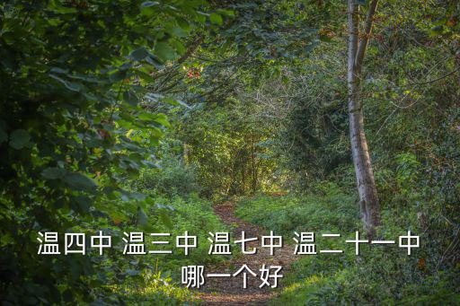 溫四中 溫三中 溫七中 溫二十一中 哪一個好