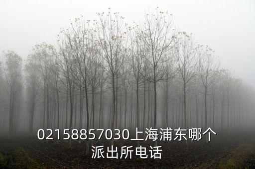 02158857030上海浦東哪個派出所電話