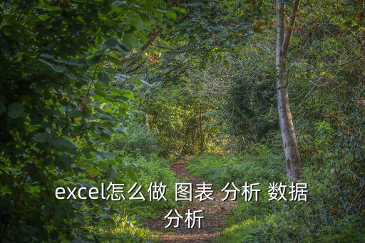 數(shù)據(jù)圖表與分析,數(shù)據(jù)分析工具包括切片器和數(shù)據(jù)規(guī)表
