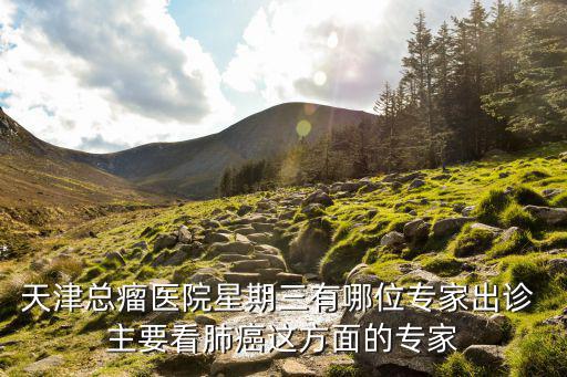 天津總瘤醫院星期三有哪位專家出診 主要看肺癌這方面的專家
