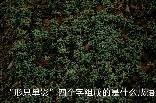“形只單影”四個(gè)字組成的是什么成語(yǔ)