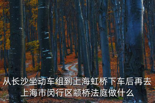從長沙坐動車組到上海虹橋下車后再去上海市閔行區顓橋法庭做什么