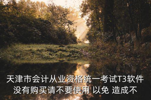 天津市不擔當不作為抽查試題，天津市會計從業資格統一考試T3軟件沒有購買請不要使用 以免 造成不