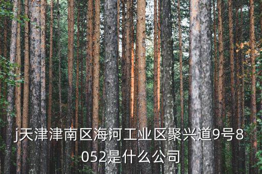 j天津津南區海河工業區聚興道9號8052是什么公司
