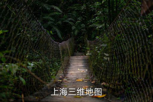上海市衛星地圖全圖高清版圖片，最新的上海地圖