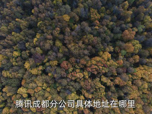 騰訊成都分公司具體地址在哪里