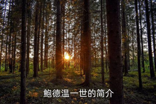  鮑德溫一世的簡介