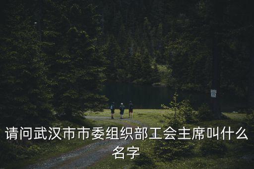 請問武漢市市委組織部工會主席叫什么名字